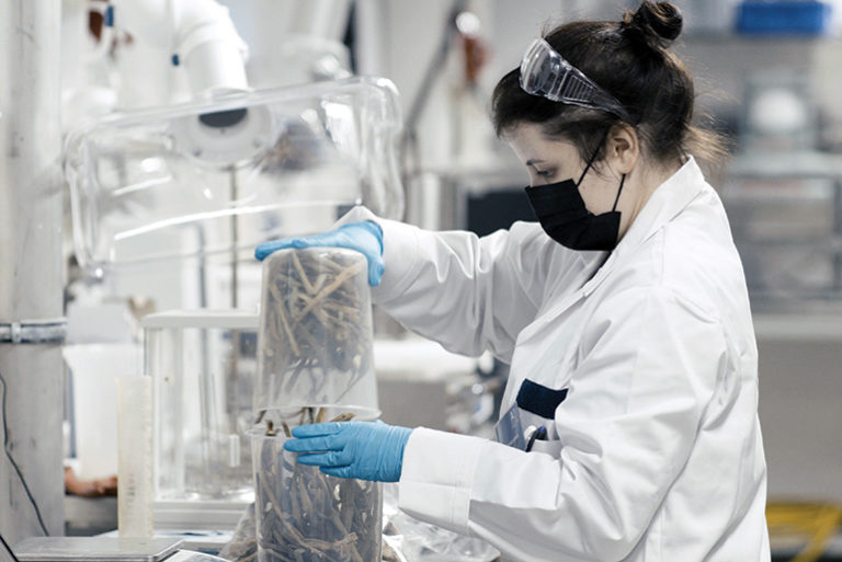 Naishenkilö tutkii laboratoriossa suojavarusteet päällään biopohjaista tekstiilikuitua.
