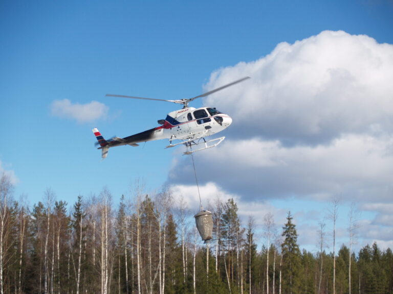 Helikopteri lentää metsän yllä ja levittää lannoitetta vaijerin päässä roikkuvasta säiliöstä.