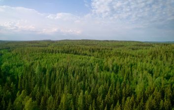 Ilmakuva tiheästä suomalaisesta havumetsästä kesäisenä päivänä sinisen taivaan alla.